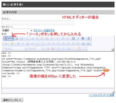 コードをエディターに貼りつける