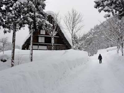 これが豪雪地帯の風景