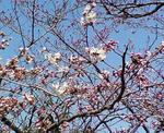 200803221319001.jpg