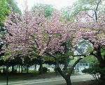 2008041701.jpg