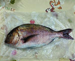 200804261706000.jpg