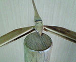 200804291735000.jpg