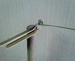 200804291736000.jpg
