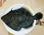 200805031837000.jpg