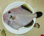 200805031843000.jpg