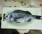 200805111749000.jpg