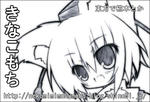 pukike19.jpg
