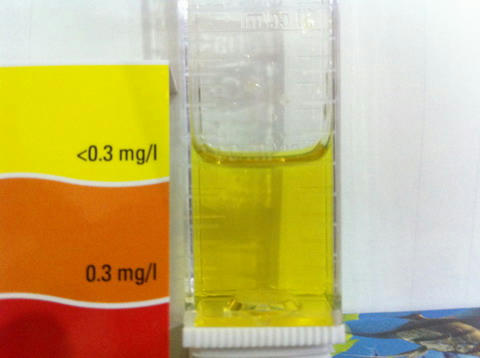 2_no2.jpg