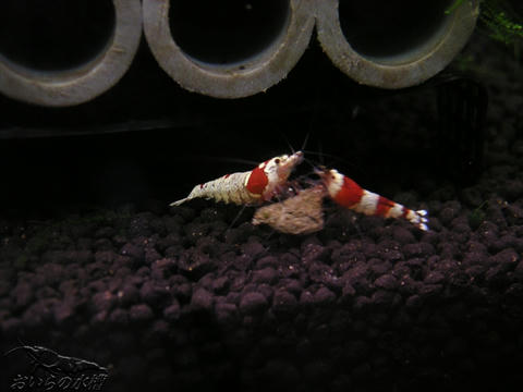 20111007221054.jpg