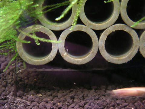 20111012215200.jpg