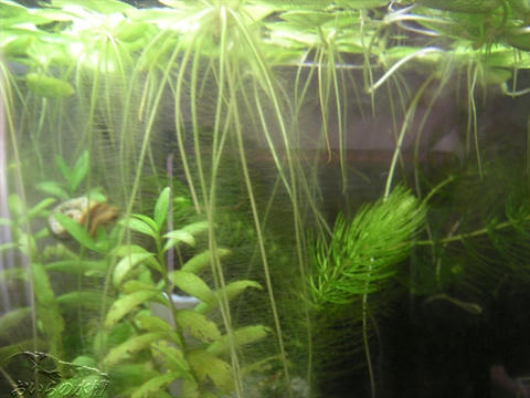 29f0cab5.jpeg