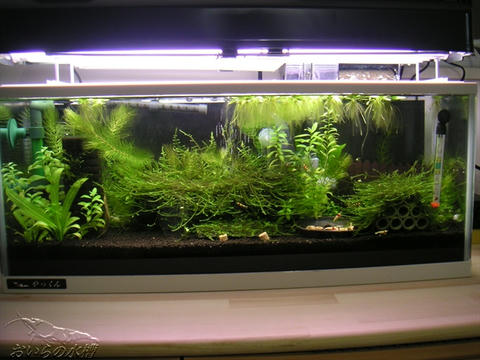 120109194802.jpg