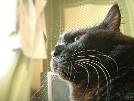 taro01.jpg