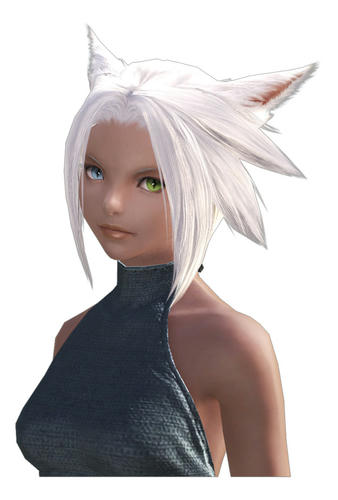 ff14-2.jpg.jpg