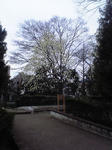 tokuden