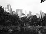 R0018583.JPG