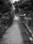 R0018908.JPG