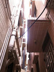 R0018949.JPG