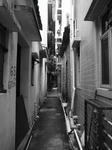 R0018936.JPG