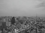 R0019074.JPG