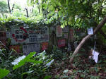 R0018912.JPG
