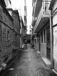 R0018939.JPG