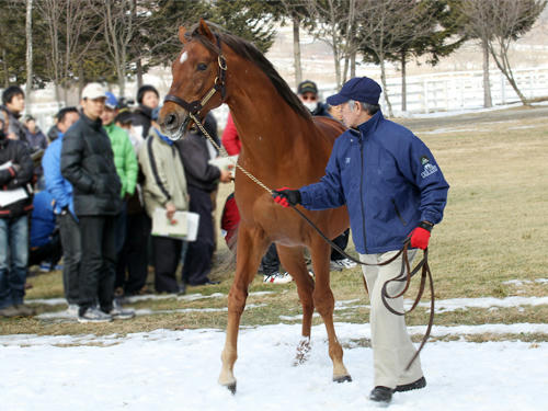 hero_110216_05.jpg