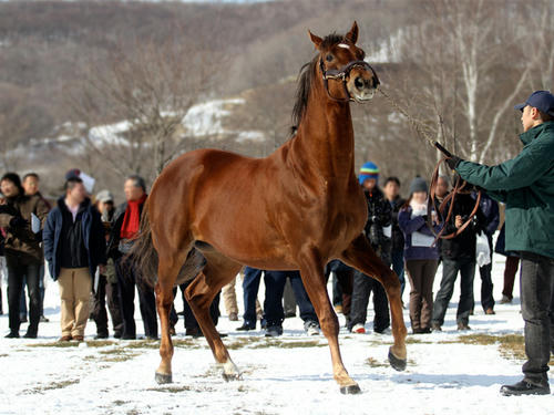 hero_120220_06.jpg
