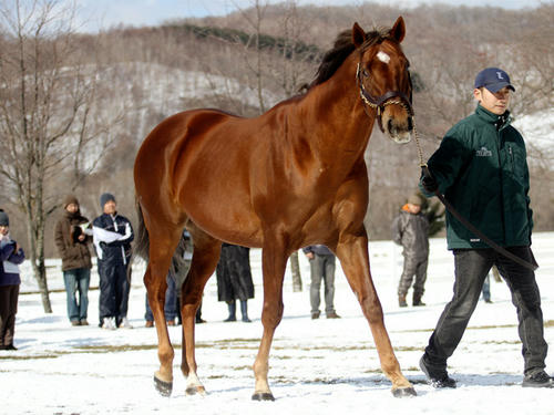 hero_120220_09.jpg