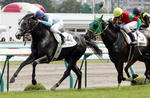 札幌新馬戦