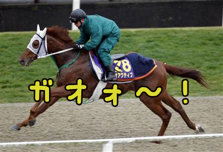レオアクティブ