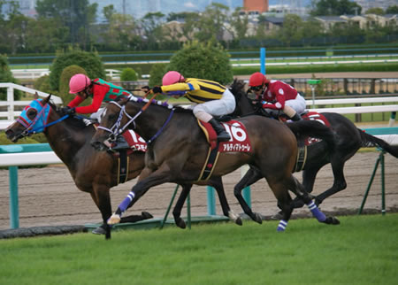 競馬