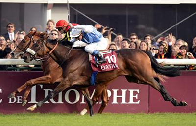 ソレミアに差されたオルフェーヴル