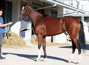 ラスヴェンチュラス