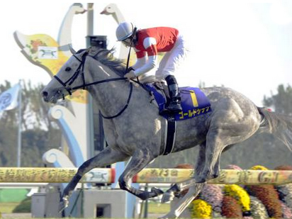 菊花賞優勝でクラシック2冠に輝いたゴールドシップ