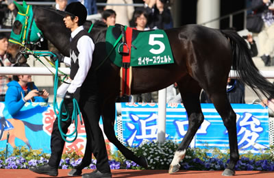 ガイヤースヴェルトの画像