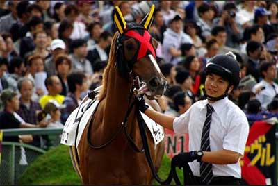 アロマティコ 画像