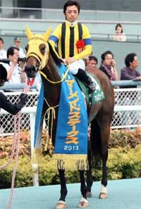 マルセリーナ 画像