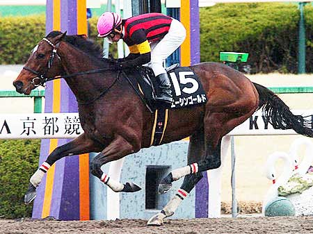 エーシンゴールド