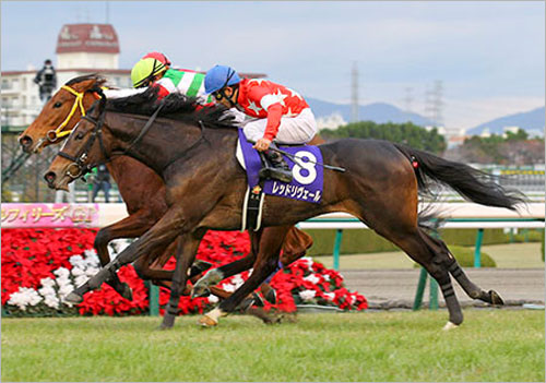 レッドリヴェール