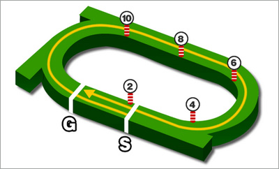 札幌競馬場・芝1800m