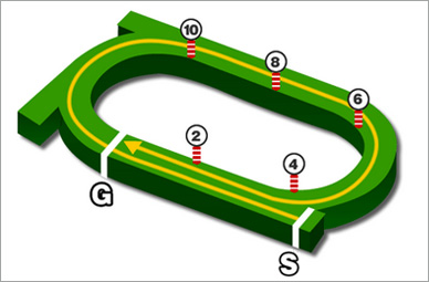 札幌競馬場・芝2000m