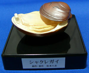 P1000179.jpg