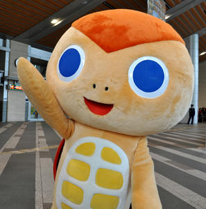 かめっ太