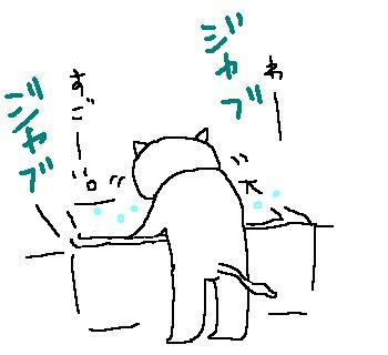 070618