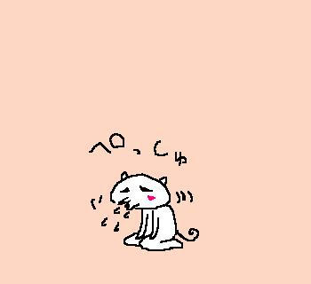 070708