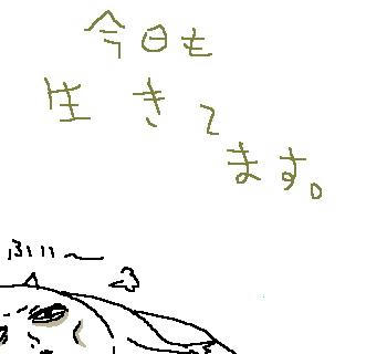 071108