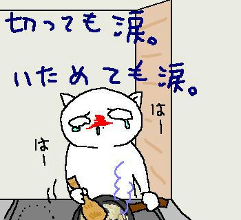 071204