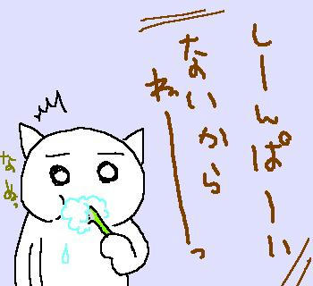 080619