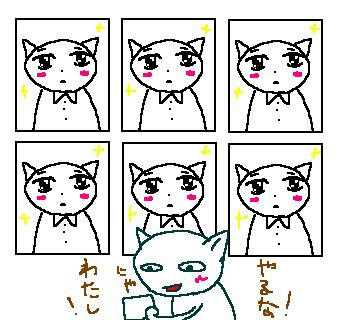 081126